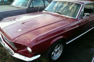 Ford : Mustang COUPE Photo