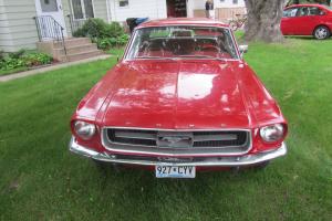 Ford : Mustang Coupe Luxury Trim Photo