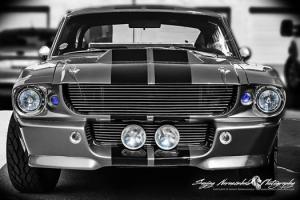 Ford : Mustang GT-500 Photo