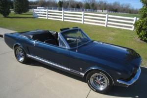 Ford : Mustang GT 289 Photo