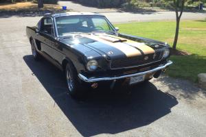 Ford : Mustang Standard Photo