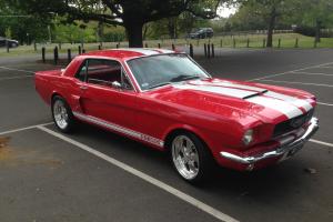 1966 Ford Mustang GT350 Tribute 302 Windsor in Hillside, VIC Photo