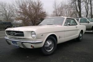 Ford : Mustang Deluxe Pony Photo