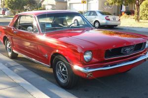 Ford : Mustang Coupe Photo