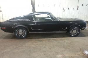 Ford : Mustang black Photo