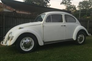 1966 Volkswagen Beetle Good Unrestored Condition Heaps OF Spares IF Wanted in Petrie, QLD