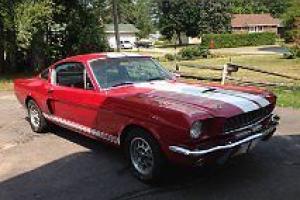 Shelby : GT350 2DR Photo