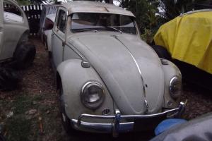 VW 1966 Volkswagen Beetle 1300 ONE Registered Owner From NEW in Eagleby, QLD Photo
