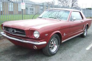 Ford Mustang 289 V8 1965 Photo