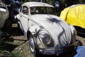 VW 1966 Volkswagen Beetle 1300 ONE Registered Owner From NEW in Eagleby, QLD Photo