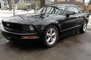 Ford : Mustang Prem Photo