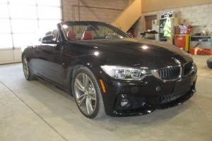 BMW : Other M Sport Convertible 2-Door