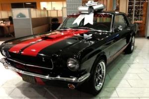 Ford Mustang GT350 Tribute Photo