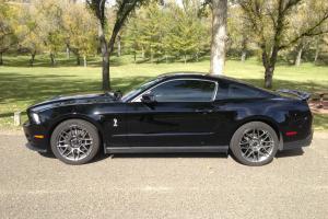 Ford : Mustang Cpe Shelby Photo