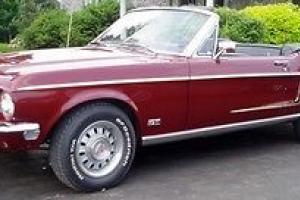 Ford : Mustang GT Convertible Photo