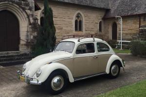 1965 VW Beetle Volkswagen in Faulconbridge, NSW