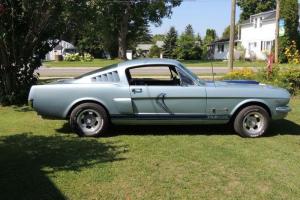 Ford : Mustang FASTBACK GT 350 CLONE Photo