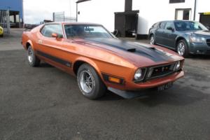 1973 FORD MUSTANG 351 CLEVELAND FASTBACK 5.8 LITRE AUTO 95,000 MILES Photo