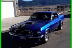 Ford : Mustang GT Fastback Photo