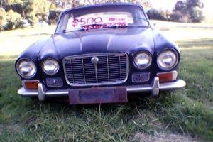 Jaguar 1970 Series 1 XJ6 in Gravelly Beach, TAS