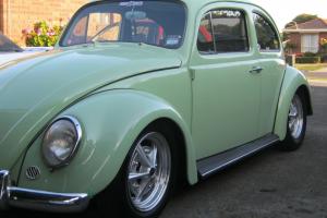 VW Beetle 62 Model AS NEW in Sebastopol, VIC Photo