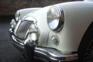 1957 MGA 1500 ROADSTER in OLD ENGLISH WHITE Photo