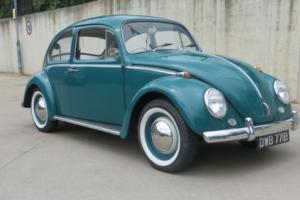 Volkswagen Beetle-1964-RHD