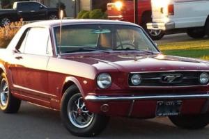 1966 Ford Mustang GT Coupé Photo