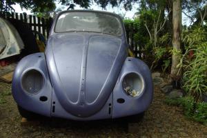 VW 1958 Volkswagen Beetle Convertible Roadster Project in QLD Photo