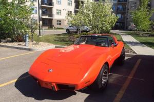 Chevrolet : Corvette T-Top
