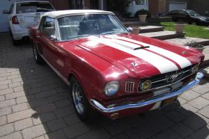 Ford : Mustang V8 Shelby Clone Photo