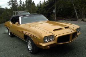 Pontiac : GTO Convertible Photo