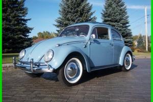 Volkswagen : Beetle - Classic Photo