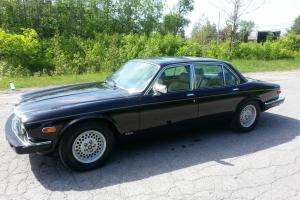 Jaguar : XJ12
