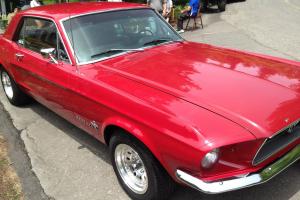 Ford : Mustang Coupe