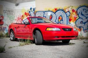 Ford : Mustang GT Convertible 2-Door Photo
