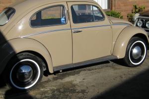 VW Beetle 59 Model in VIC Photo