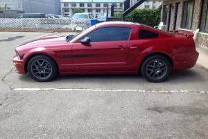 Ford : Mustang GT C A Special Photo