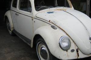 VW Beetle 62 Model Abandoned Project With Rare Extras in VIC Photo