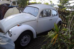 VW 1967 Volkswagen Beetle 1300 Engine IRS AND Disc Brake Front in QLD Photo