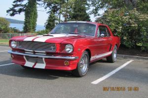 Ford : Mustang Shelby GT 350 Tribute-Restored Photo