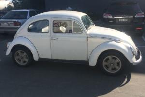 VW Beetle Photo