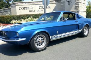 Ford : Mustang GT500 Tribute Photo