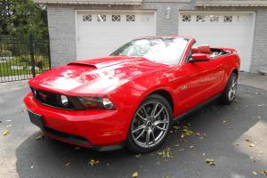 Ford : Mustang GT-Premium Photo