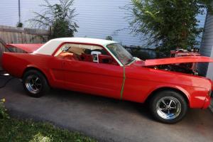 Ford : Mustang CUSTOM GT Photo
