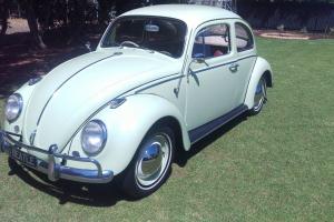 VW Beetle 1962 Photo