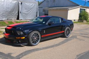 Ford : Mustang GT500 Super Snake clone new dyno 767 HP Photo