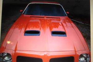 Pontiac : Firebird Photo