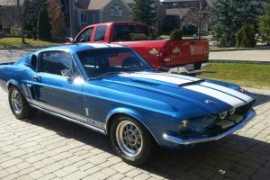 Ford : Mustang GT 500 Photo