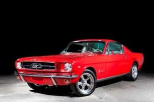 1966 Ford Mustang Fastback (289c.i.) Photo